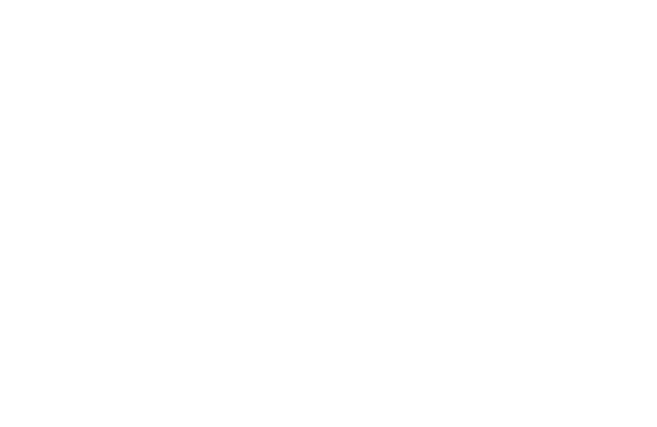 Logo-Natural-Detergents-ENG-blanc (1)